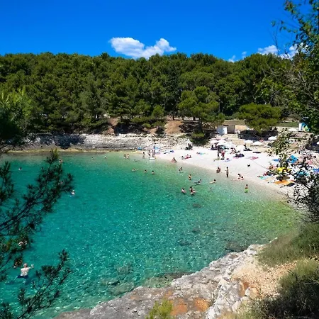 Mira Pula