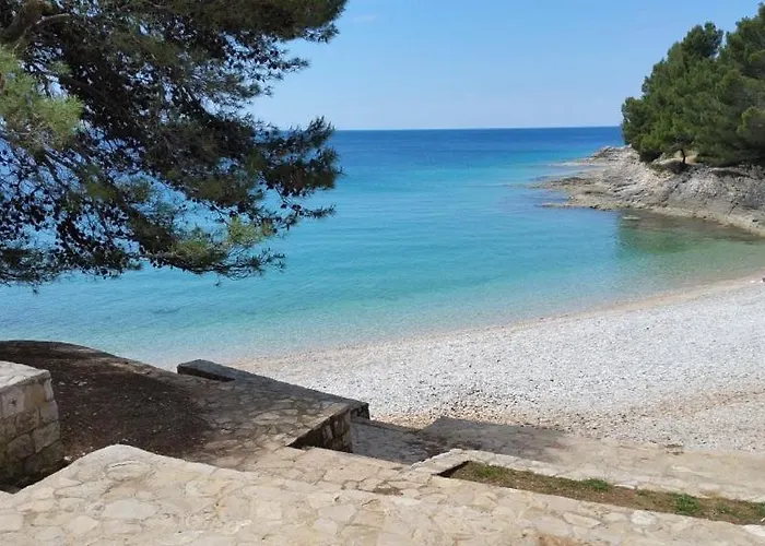 Διαμέρισμα Mira