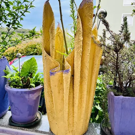 アパート Mira プーラ