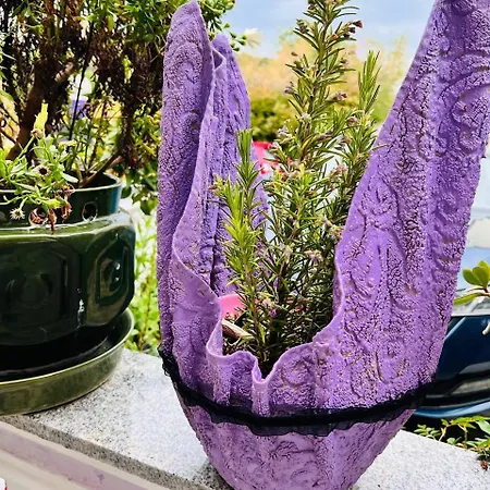 Mira アパート プーラ